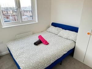 Superb Townhouse Silent Edinburgh