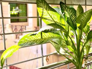 Hotel Riverside Sky - FREE LAUNDRY