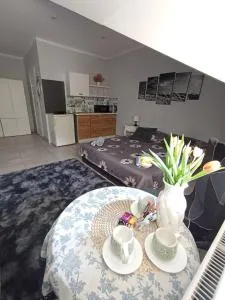 Niyaz apartment - Otwock Mały