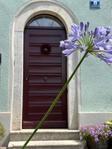 Zu Gast im Jurahaus