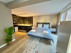 Appartements Suite Romantique - Balneo Prive - Parking : photos des chambres