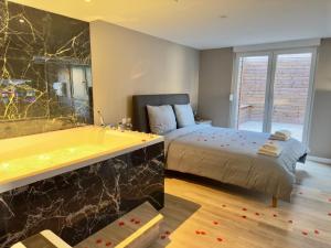 Appartements Suite Romantique - Balneo Prive - Parking : photos des chambres