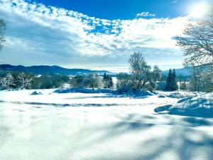 Apartmány Na výsluní Šumava - Pěkná vyhlídka