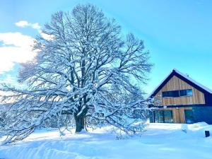 Apartmány Na výsluní Šumava - Pěkná vyhlídka