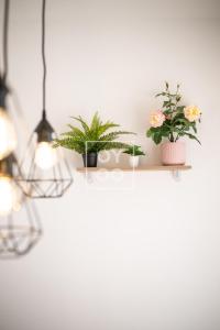 Isla de la Luz mountain lake views by OYOOSTAYS