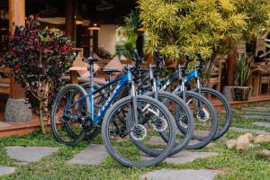 Anans Ecolodge - Tours & Motorbikes Rental