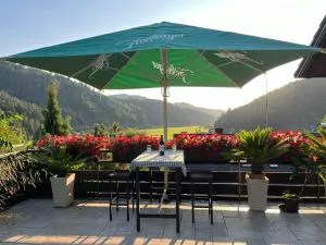 Sonnige Ferienwohnung im Kinzigtal - Herrenbach