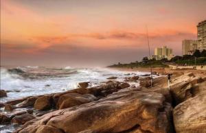 New apartment close to uMhlanga - Unit 2