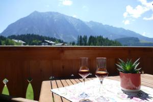 Apartment Grimmingpanorama