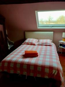 Maisons de vacances Cousinade, team building, outdoor activities : photos des chambres