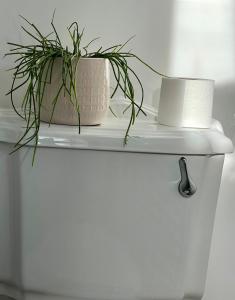 Maisons de vacances Cousinade, team building, outdoor activities : photos des chambres