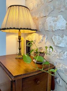 Maisons de vacances Cousinade, team building, outdoor activities : photos des chambres