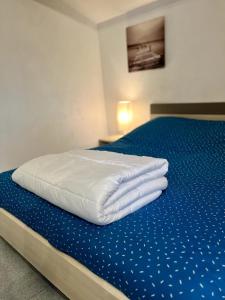 Appartements Studio Les Tilleuls : photos des chambres