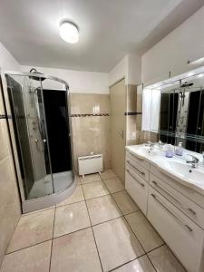 Appartements Studio Les Tilleuls : photos des chambres