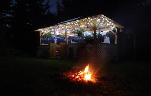 Pet Friendly Apartment