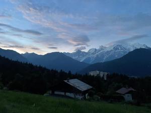 Chalets Le Chalet de Guy et Rose : photos des chambres