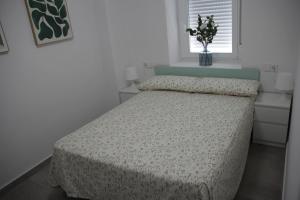 Mirador Playa Ribeira 1ª Línea