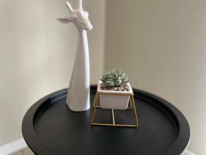 Live Easy, Home away from Home