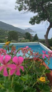Vacanze Sicilia, Villa con piscina con vista Mare e porto di Cefalù