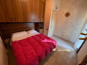 In campagna da Nino img63