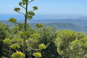 Villas Stunning Villa 5 bedroom Heaven on earth : photos des chambres