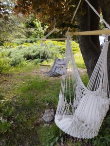 Villas Le Petit Paradis : photos des chambres