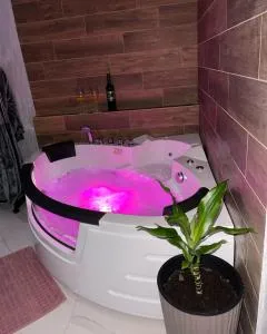 Pink Apartmani - Kočino Selo