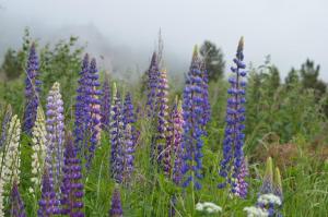 Chalet avec jolie vue - proche des pistes