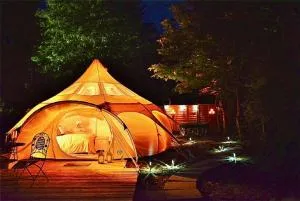 Apple Blossom - 温特灵厄姆