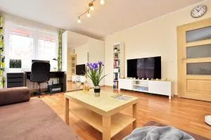 Comfortable apartment near center - Wrocław-Popowice