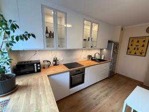 Comfortable apartment near center