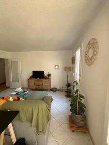 Appartements Appt Lumineux, Terrasse Parking prive : photos des chambres