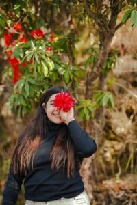 Entire property in Mukteshwar