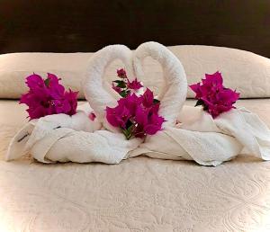 Hotels Hotel des Mimosas : photos des chambres
