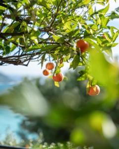 Hotels Hotel Le Roquebrune : photos des chambres