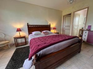 Appartements Le Cocon des Chateaux de la Loire : photos des chambres