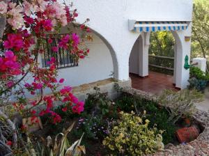 Algarrobo