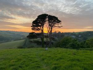 Ramble & Rye - The Nest