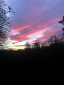 Beautiful Listed Mansion with incredible woodland views