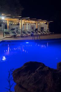 Cort'e Nastasj img28