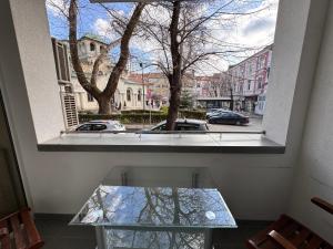 Cozy Central Apartment Steps from Everything!