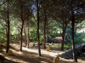 Los Pinos - Fernán Pérez