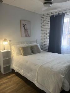 Cosy Urban Retreat in the Heart