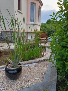 Sejours chez l'habitant chambres d'hotes dans maison atypique : photos des chambres