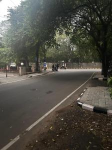 A 3bhk flat in Nungambakkam near Apollo hospital