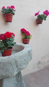 La Casa Madrona-Completa