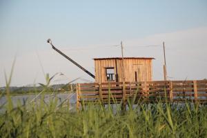 Maisons d'hotes Chambres d'hotes ecolabellisees du Domaine de Ludeye - serenite dans le Medoc : photos des chambres