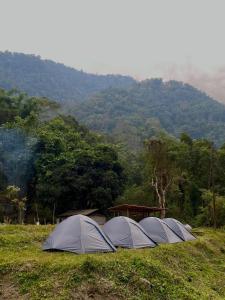 Miknaon River Retreat