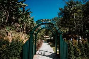 Mornery The Riverside - Cseszon