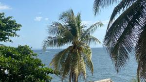 Eco Casa Turistica Necoliving Suites